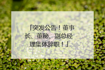 突发公告！董事长、董秘、副总经理集体辞职！