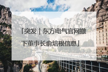 突发｜东方电气官网撤下董事长俞培根信息