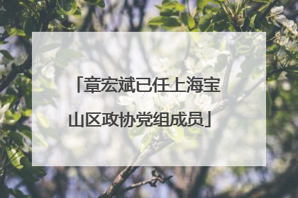 章宏斌已任上海宝山区政协党组成员