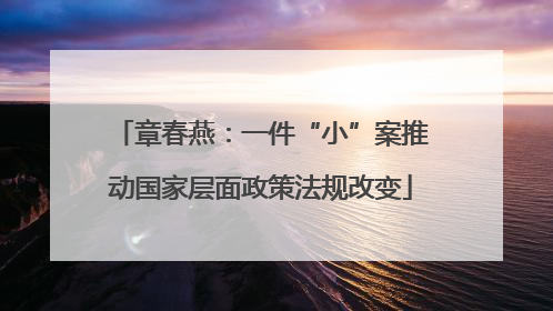 章春燕：一件“小”案推动国家层面政策法规改变
