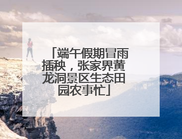 端午假期冒雨插秧，张家界黄龙洞景区生态田园农事忙