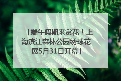 端午假期来赏花！上海滨江森林公园绣球花展5月31日开幕