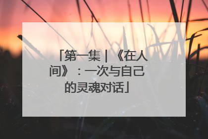 第一集｜《在人间》：一次与自己的灵魂对话