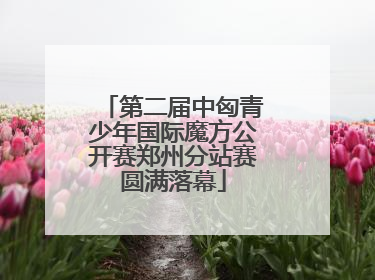 第二届中匈青少年国际魔方公开赛郑州分站赛圆满落幕