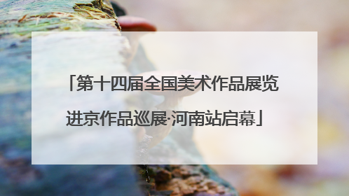 第十四届全国美术作品展览进京作品巡展·河南站启幕