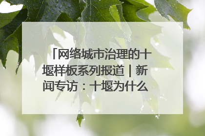 网络城市治理的十堰样板系列报道｜新闻专访：十堰为什么成为“黑马型”城市治理网络维度典型