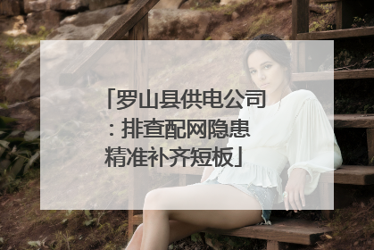 罗山县供电公司：排查配网隐患 精准补齐短板