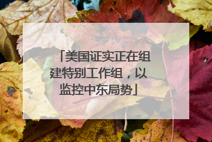 美国证实正在组建特别工作组，以监控中东局势