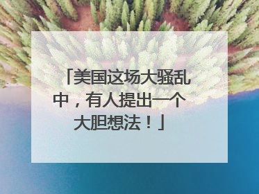 美国这场大骚乱中，有人提出一个大胆想法！