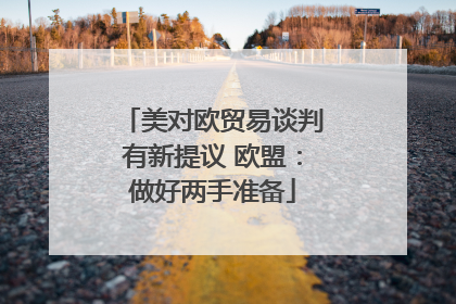 美对欧贸易谈判有新提议 欧盟：做好两手准备