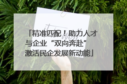 精准匹配！助力人才与企业“双向奔赴” 激活民企发展新动能