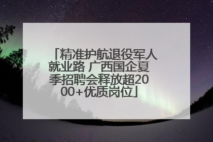 精准护航退役军人就业路 广西国企夏季招聘会释放超2000+优质岗位