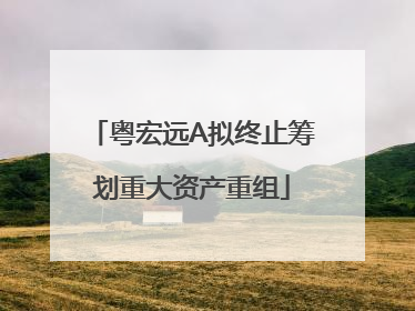 粤宏远A拟终止筹划重大资产重组