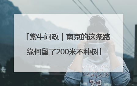紫牛问政｜南京的这条路缘何留了200米不种树