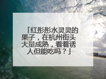 红彤彤水灵灵的果子，在杭州街头大量成熟，看着诱人但能吃吗？