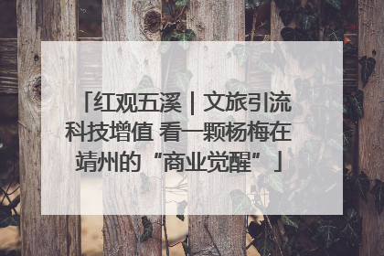 红观五溪｜文旅引流 科技增值 看一颗杨梅在靖州的“商业觉醒”