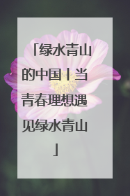 绿水青山的中国丨当青春理想遇见绿水青山