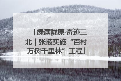 绿满陇原·奇迹三北｜张掖实施“百村万树千里林”工程