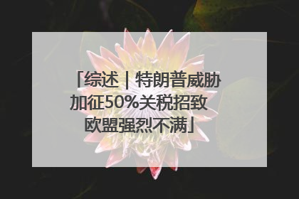 综述｜特朗普威胁加征50%关税招致欧盟强烈不满