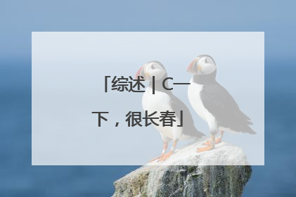 综述｜C一下，很长春