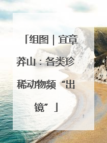 组图｜宜章莽山：各类珍稀动物频“出镜”
