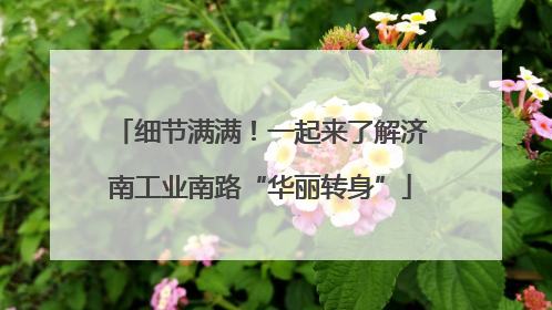 细节满满！一起来了解济南工业南路“华丽转身”