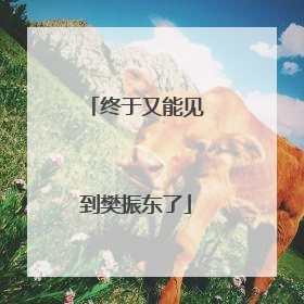 终于又能见到樊振东了