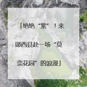 绝绝“紫”！来郧西县赴一场“莫奈花园”的浪漫