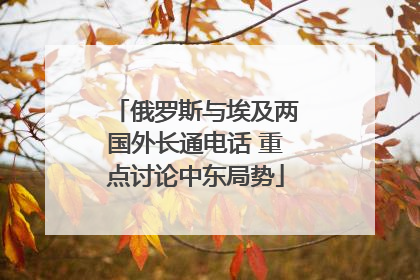 俄罗斯与埃及两国外长通电话 重点讨论中东局势