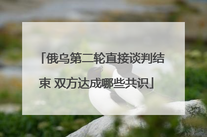俄乌第二轮直接谈判结束 双方达成哪些共识
