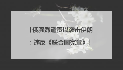 俄强烈谴责以袭击伊朗：违反《联合国宪章》