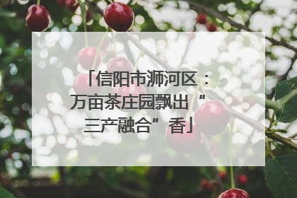 信阳市浉河区：万亩茶庄园飘出“三产融合”香