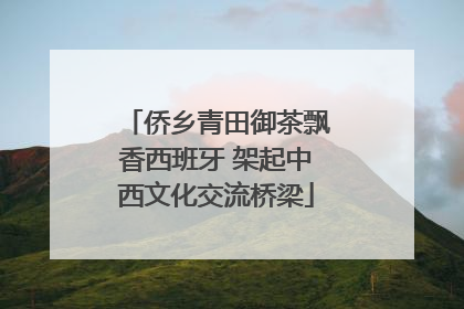 侨乡青田御茶飘香西班牙 架起中西文化交流桥梁