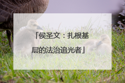 侯圣文：扎根基层的法治追光者
