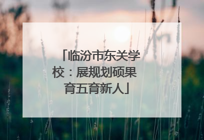 临汾市东关学校：展规划硕果 育五育新人