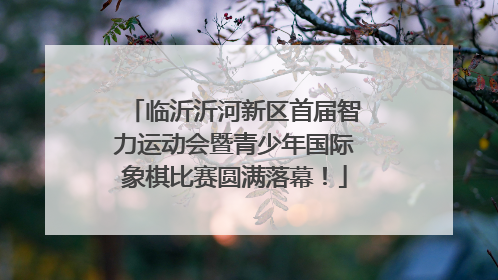 临沂沂河新区首届智力运动会暨青少年国际象棋比赛圆满落幕！