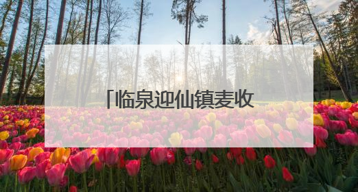 临泉迎仙镇麦收进行时：农机手“无忧作业”背后的服务温度