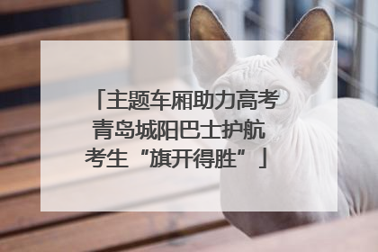 主题车厢助力高考 青岛城阳巴士护航考生“旗开得胜”