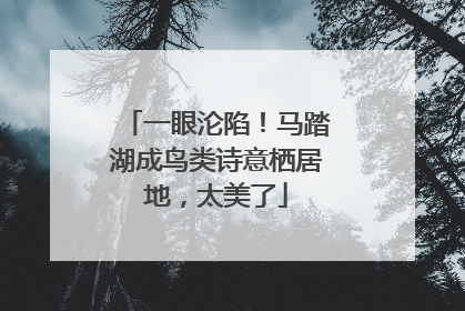 一眼沦陷！马踏湖成鸟类诗意栖居地，太美了