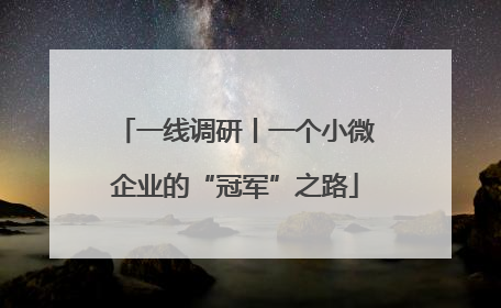 一线调研丨一个小微企业的“冠军”之路