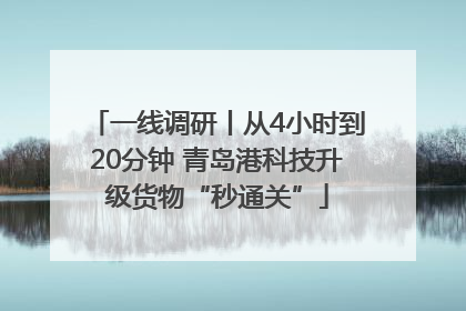 一线调研丨从4小时到20分钟 青岛港科技升级货物“秒通关”