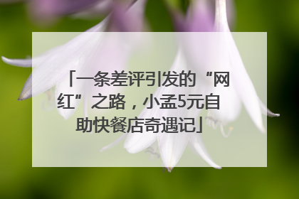 一条差评引发的“网红”之路，小孟5元自助快餐店奇遇记