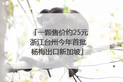 一颗售价约25元 浙江台州今年首批杨梅出口新加坡