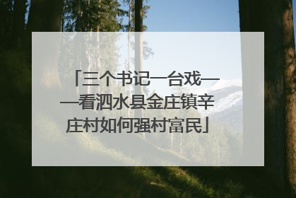 三个书记一台戏——看泗水县金庄镇辛庄村如何强村富民