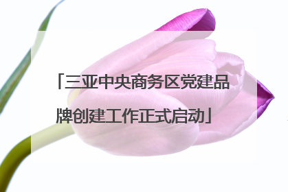 三亚中央商务区党建品牌创建工作正式启动