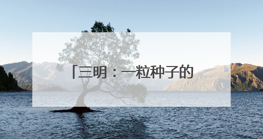 三明：一粒种子的“链式”崛起之路