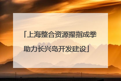 上海整合资源攥指成拳助力长兴岛开发建设