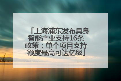 上海浦东发布具身智能产业支持16条政策：单个项目支持额度最高可达亿级