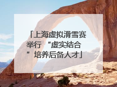上海虚拟滑雪赛举行 “虚实结合”培养后备人才
