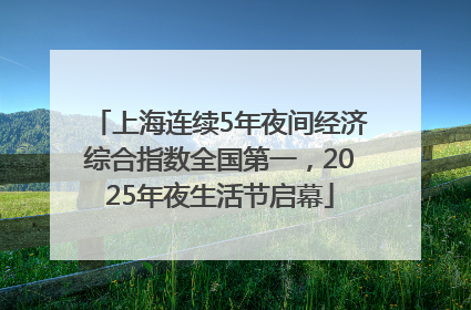 上海连续5年夜间经济综合指数全国第一，2025年夜生活节启幕